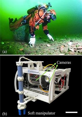 An Opposite-Bending-and-Extension Soft Robotic Manipulator for Delicate Grasping in Shallow Water
